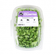 Future Fresh Coriander Cilantro 30g 